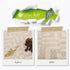 32oz RUFF STUFF Max Strength BioEnzyme Stain Remover Spray & Pet Odor Eliminator: Fabric-Safe Dog & Cat Urine Destroyer