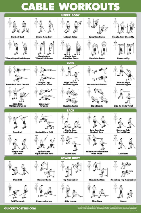Palace Learning 3 Pack Workout Charts - Dumbbell, Barbell, and Cable Machine Exercises (LAMINATED, 18” x 24”)