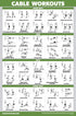 Palace Learning 3 Pack Workout Charts - Dumbbell, Barbell, and Cable Machine Exercises (LAMINATED, 18” x 24”)