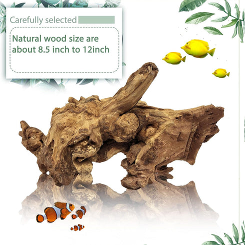 Tfwadmx Aquarium Natural Driftwood Decor - Wood Branches 8.5-12" for Fish Tank Decoration, Reptile Habitat Ornament (2