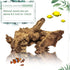 Tfwadmx Aquarium Natural Driftwood Decor - Wood Branches 8.5-12" for Fish Tank Decoration, Reptile Habitat Ornament (2