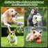 Pet Dog Playing Balls, 6 Pack Advanced Training Tennis Balls for Dogs, Good for Beginner Training, Polychrome Canned