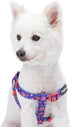 Blueberry Pet Step-in Dog Harness - 9 Patterns, Irish Blue Rose Print, Medium, Chest Girth 20" - 26"