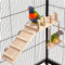 Bird Perches Platform Swing with Climbing Ladder, Sturdy Wooden Playing Gyms for Small Birds