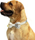 KUDES 2 Pack Dog Collars with Bow Tie and Bells, Adjustable Cute Dog Bow Ties Collar for Small Medium Large Pets (Beige
