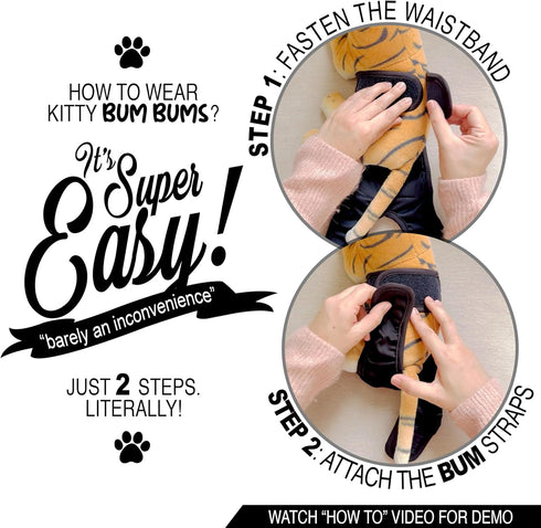 Kitty BumBums (Pack 3) Kitty Bum Bums Reusable Cat Diapers and Stud Pants to Prevent Pee Marking - with Adjustable Tabs