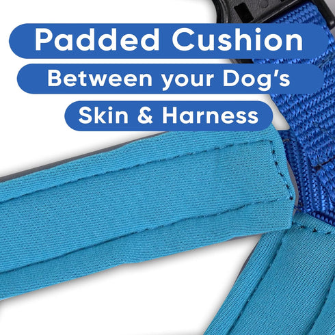 Pawtitas Padded Dog Harness, Reflective Dog Vest for Comfort Control, XS Extra Small Blue Dog Harness