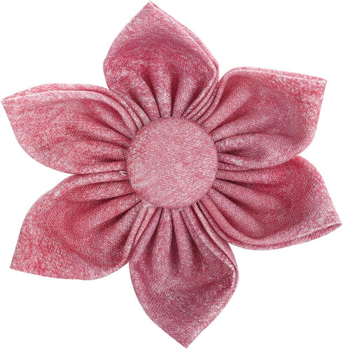 Elegant Little Tail Pink Girl Dog Collar for Female Dogs, Adjustable Pet Collar with Flower Gift for Large Dogs