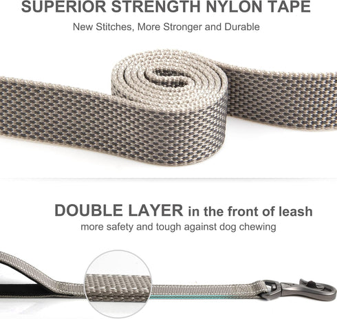 Fida 4 FT Heavy Duty Dog Leash - 2 Comfortable Padded Handles with Traffic Handle & Easy Snap Hook (Grey)
