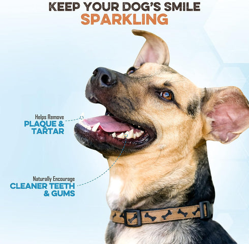 Gullet Sticks for Dogs, All Natural Single Ingredient Beef Jerky Chews, Healthy Beef Gullet Sticks