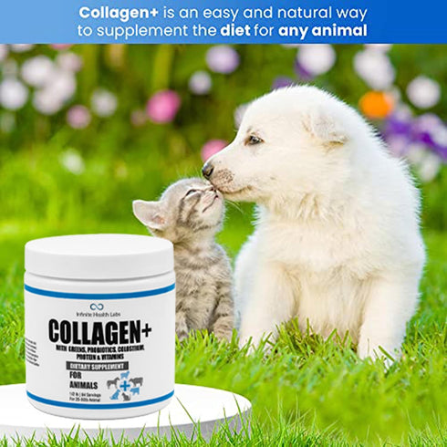 Collagen+ Ultimate Dog or Cat Food Topper with Probiotics, Enzymes, Glucosamine, Supports Joints