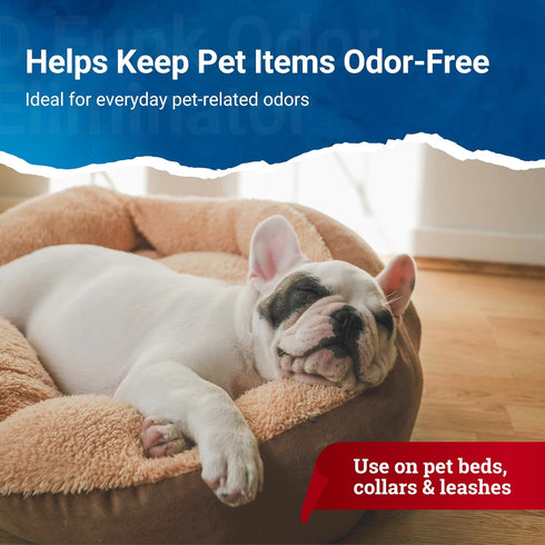 16 oz. Ardent D Funk Odor Eliminator for Strong Odor, Bottle, Spray to Remove Smells and Odors, Pet Supplies, Sport