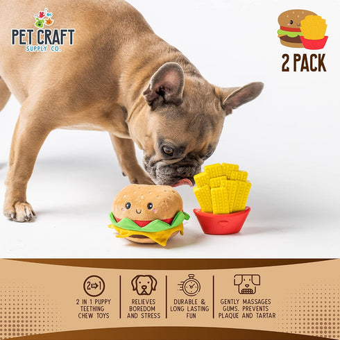 Pet Craft Supply 2 Pack Puppy Teething Dental Chew Toys, Tough Nylon Bone with Squeaky Plush Ball for Small Medium Dogs
