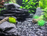 Natural Slate Stone Gravel Less Than 1/8", 1 lb USA Sourced for Mosaic Stone Art, Crafts, and Miniature Gardens