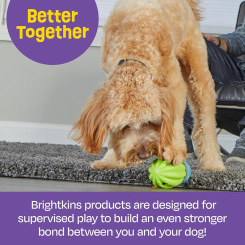 Brightkins Cactus Surprise Treat Dispenser, Dog Birthday Toy, Treat Dispenser for All Breeds, Medium