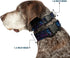 Buckle-Down Plastic Clip Collar - Galaxy Collage - Large, 1" Wide, Fits 15-26" Neck