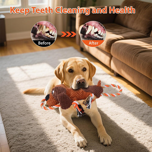 Drmstow Plush Dog Toys with Rope, Squeaker & Crinkle Paper Interactive Squeaky Chew Toy for Large Dogs & Puppies Tough