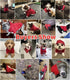 Idepet Dog Hoodies for Small Dogs, Warm Coat Jacket Vest for Chihuahua, Autumn Puppy Outfits, Cats Dogs Clothing (XS,