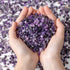 MAIBAOTA Natural Amethyst Crystal Quartz Rocks Chips for Small Fish Tank