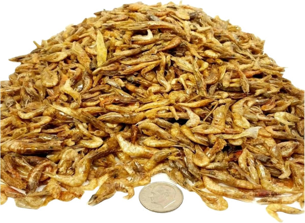 Aquatic Foods Inc. Red Shrimp-Freeze Dried 1/2" to 1 &1/4" Floating Red River Shrimp for