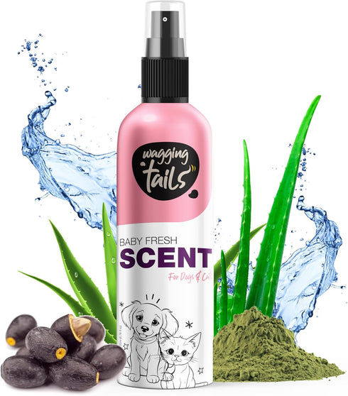 Wagging Tails Baby Fresh Pet Scent | Natural Aloe Vera & Elemi