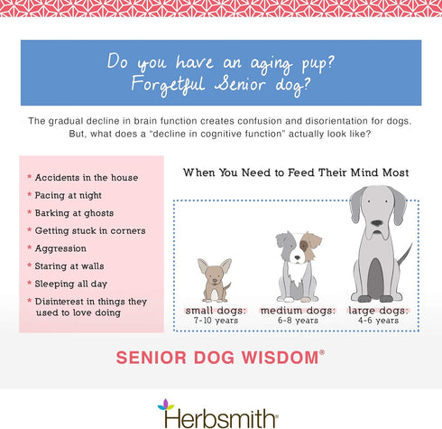 Herbsmith Senior Dog Wisdom Supplement for Dementia - DHA for Brain Health, 60ct Large Chews