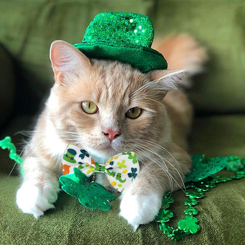 St. Patrick's Cat Collar with Bow Tie and Bell, Breakaway Lucky Irish Shamrock Collar for Male and Female Cats