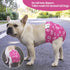 3 Pack WWD15S CuteBone Washable Dog Diapers Female No Tail Hole Reusable Doggie Period Training Pants for Docked-Tail