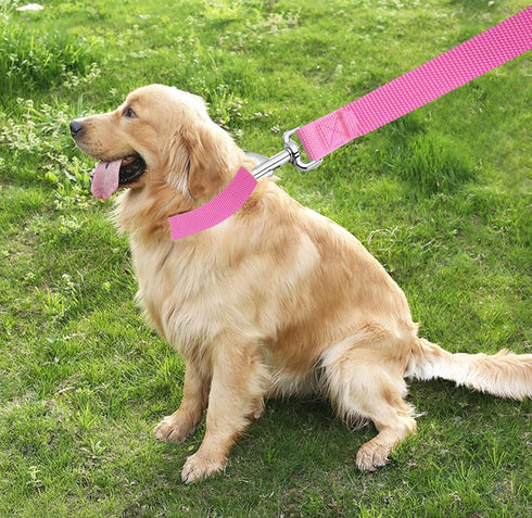 TAIAN 5 FT Strong Dog Leash - Nylon Leashes for Small Medium Large Dogs (Pink)