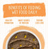 Weruva Classic Cat Paté, Who Wants to Be a Meowionaire? with Chicken & Pumpkin, 5.5oz Can (Pack of 8)