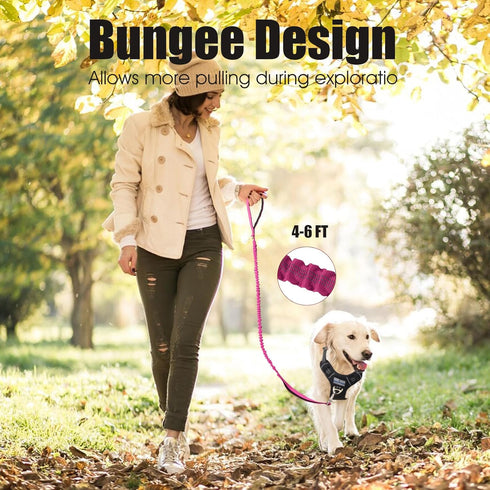 BUMBIN 6Ft Bungee Dog Leash for Large Dogs, Heavy Duty with 2 Handles, No Pull Shock Absorbing, Pink