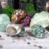 2pcs 1", (2pcs Medium Hermit Crab Shells, M Size Opening Natural Sea Conch, Turbo Seashells for Hermit Crab Supplies