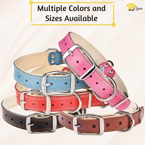 ADITYNA Heavy-Duty Premium Red Leather Dog Collar for Large Dogs - Padded for Walking, Training, Playing