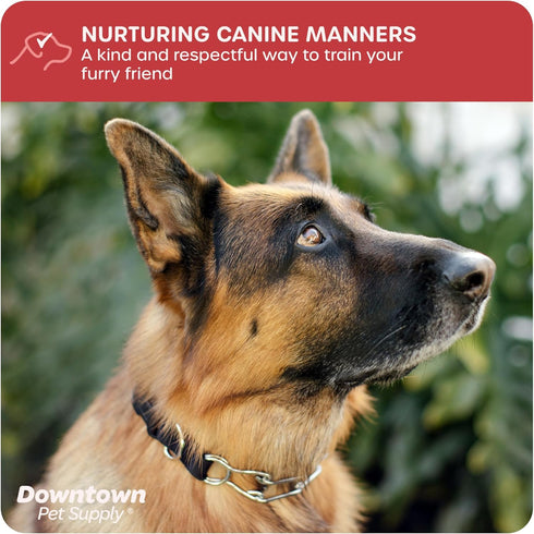 Downtown Pet Supply Chrome Plated/Nylon Prong Collar for Dogs, Large, Adjustable, No-Choke, No Pull