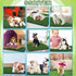 SSRIVER (25.5x19.5 Inch(Pack 2)) Artificial Grass for Dogs Pee Tray Fake Grass Mat for Professional Puppy Potty Trainer
