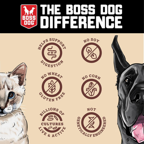 Boss Dog Boss Proballs Meatball Treats for Dogs & Cats - Beef Recipe, 3 oz Bag (Pack of 2)