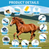 Rouisxue 14-in-1 Set Horse Grooming Kit, Professional Horse Brush Supplies for Grooming & Care, with Horse Brushes