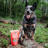 Natural Rapport Chicken Liver Dog Treats, Grain-Free Freeze Dried Chicken Bites for Small and Large Dogs