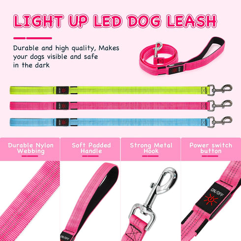 Glowing Light Up LED Dog Leash - 4ft USB Rechargeable, Flashing Nylon Leash for Small Medium Large Dogs, 3 Flash Modes