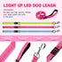 Glowing Light Up LED Dog Leash - 4ft USB Rechargeable, Flashing Nylon Leash for Small Medium Large Dogs, 3 Flash Modes