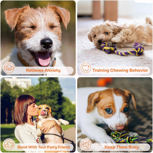 Puppy Teething Toys for Small Dogs, 5 Pack Cotton Rope Toy for Small Breeds, Durable Interactive Tug of War Toys