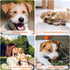 Puppy Teething Toys for Small Dogs, 5 Pack Cotton Rope Toy for Small Breeds, Durable Interactive Tug of War Toys