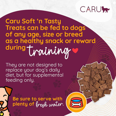 CARU - Soft 'n Tasty Baked Bites - Beef Bites Dog Treats - Flavorful Training Treats - 4 oz