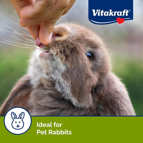 5.3 oz Chinchillas, Vitakraft Drops Rabbit Treats with Wildberry Flavor Delicious Yogurt-Based Snacks for Rabbits
