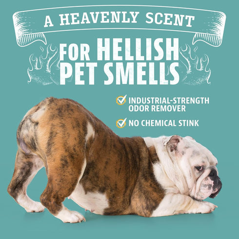 8 oz. (4) 32oz. 1 Angry Orange Pet Odor Eliminator bottle- Industrial Strength Pet Odor Remover - Makes Bottles