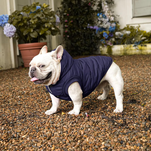 Fleece Lining Extra Warm Dog Hoodie, Small Dog Jacket with Hooded, Winter Puppy Coats, Blue XS