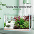 VIKKSAER Turtle Basking Platform - Simulated Lawn, Transparent Aquatic Reptile Tortoise Resting Dock, Hanging Ramp (XL)