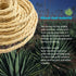 Cat Natural Sisal Rope for Scratching Post Tree Replacement, Hemp Rope for Repairing, Recovering or DIY Scratcher, Natural color, 90FT