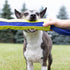 Nerf Dog Megaton Competition Stick - 12in TPR/Foam - Blue/Green