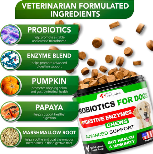 Probiotics for Dogs, Digestive Enzymes for Gut Health, Itchy Skin, Allergies, 120 Probiotic Chews Supplement